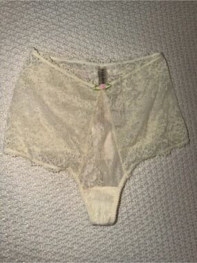 NWT free people Wild Lovers High-Waist Lace Cheeky Panties in Ivory with Rose 🌹